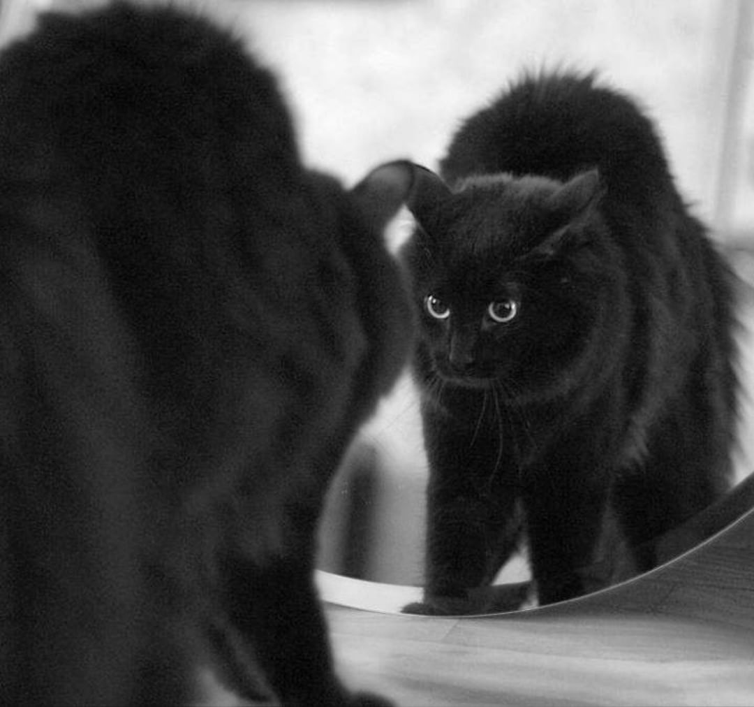 Что вылупился на меня