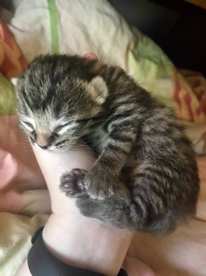 Не шевелитесь, а то меня разбудите