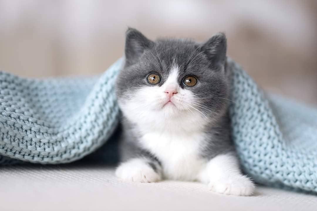 Наикрасивейшего утра всем