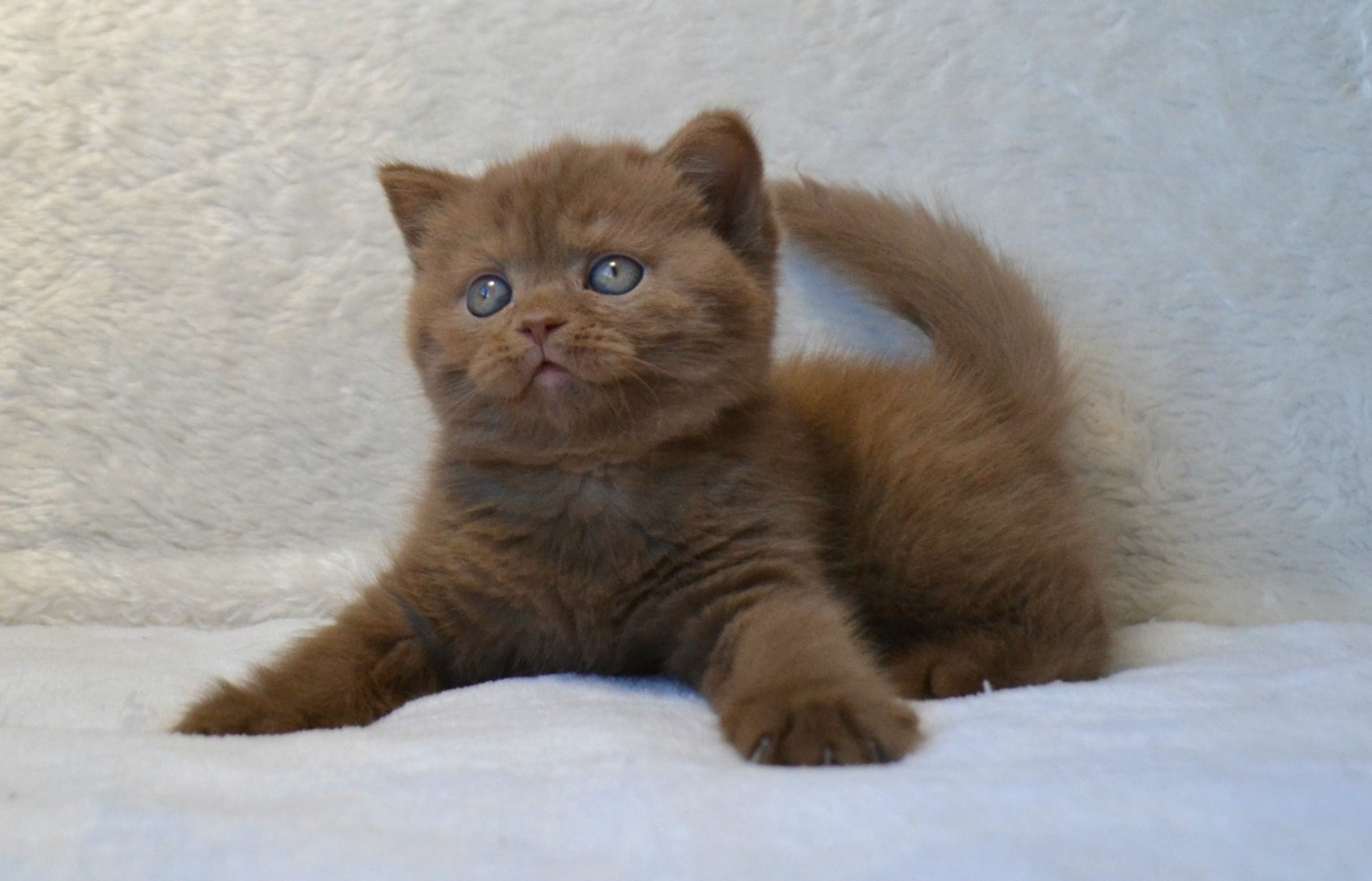 Давайте прыгать на кровати, спать же ещё рано