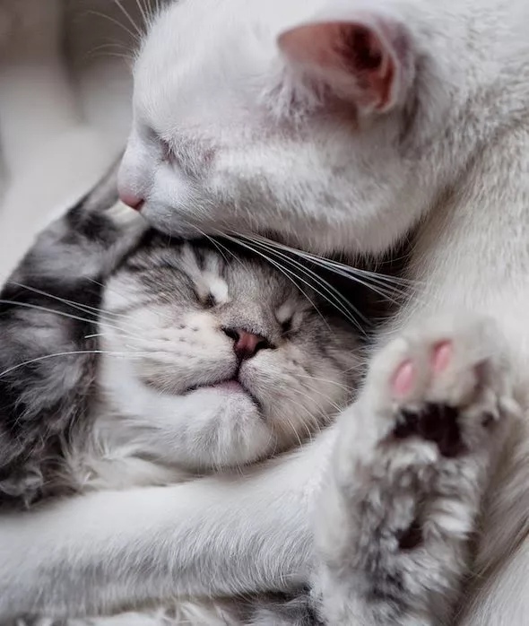 Обниму тебя нежно, что ты сопротивляешься