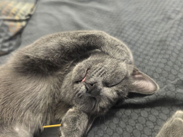 Красиво спать - не запретишь