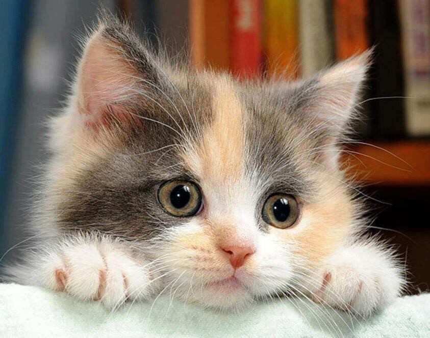 За день я устала очень, пора ложиться спать