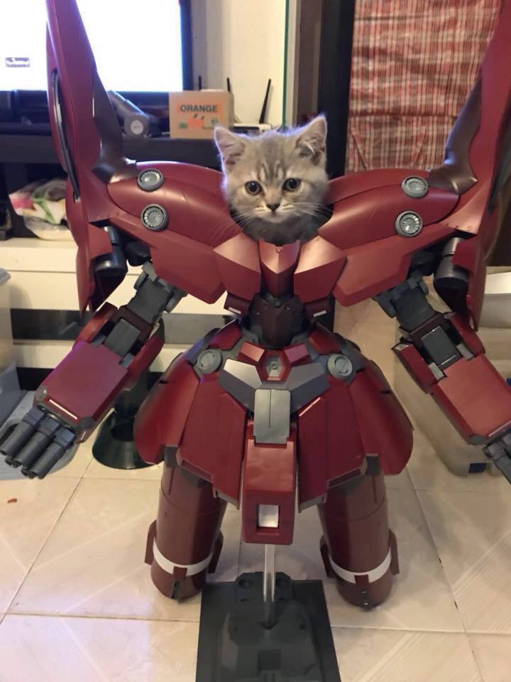 Котёнок робот