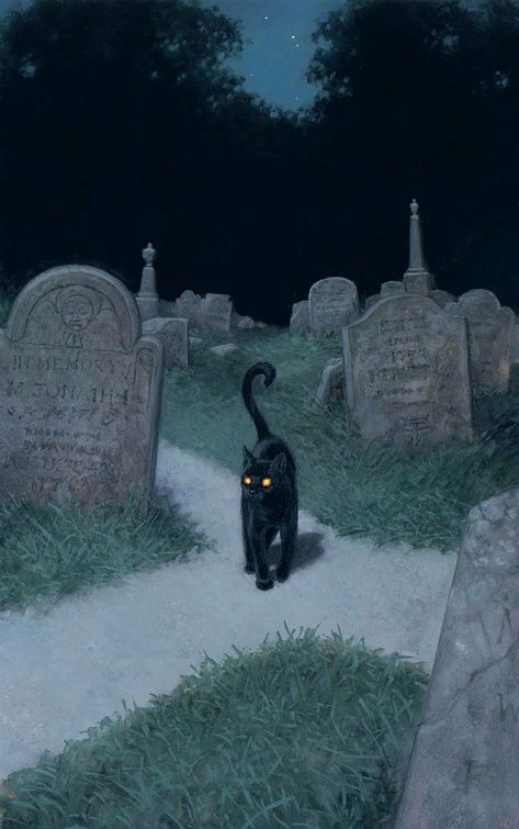 Чёрный кот на кладбище