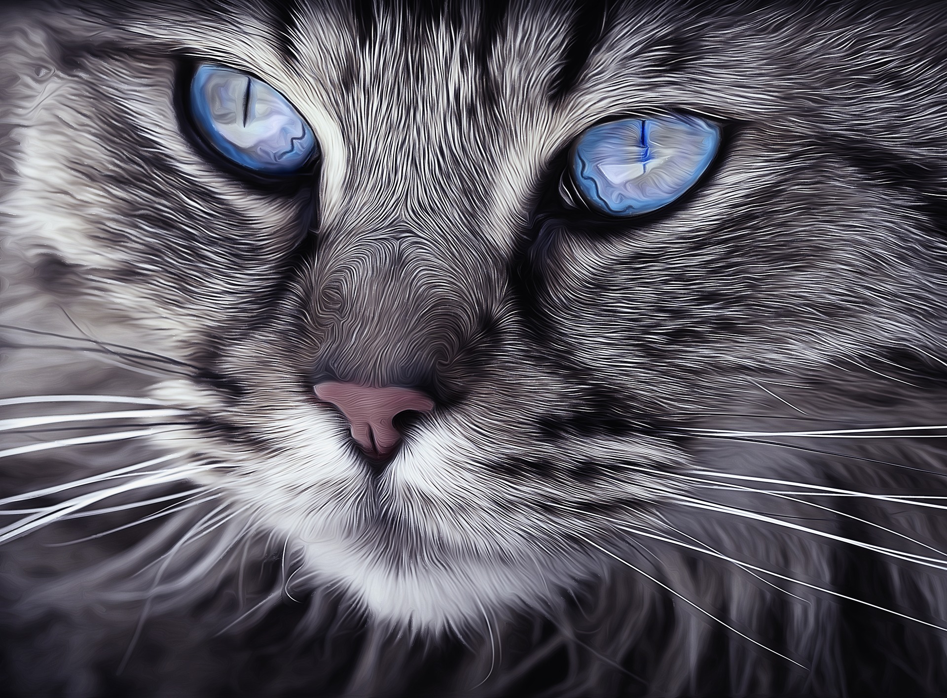 Голубоглазый серый кот